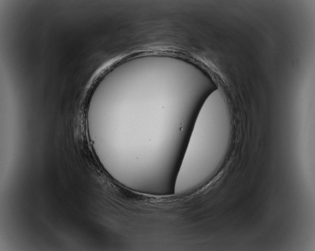 X0000086761358200704130805