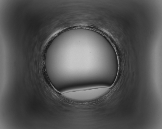 X0000086761359200704130805