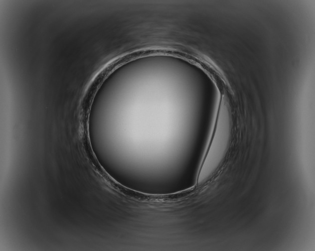 X0000086761360200704130805