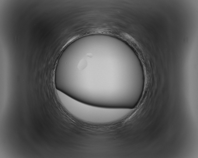 X0000086761361200704130805
