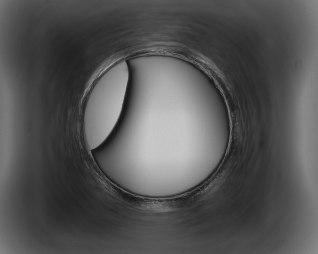X0000086761362200704130805