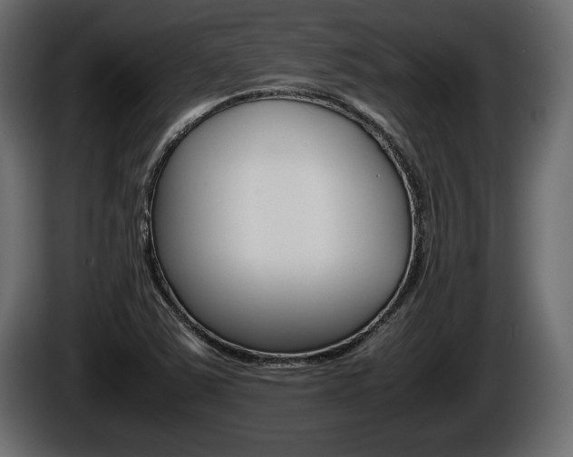 X0000086761363200704130805