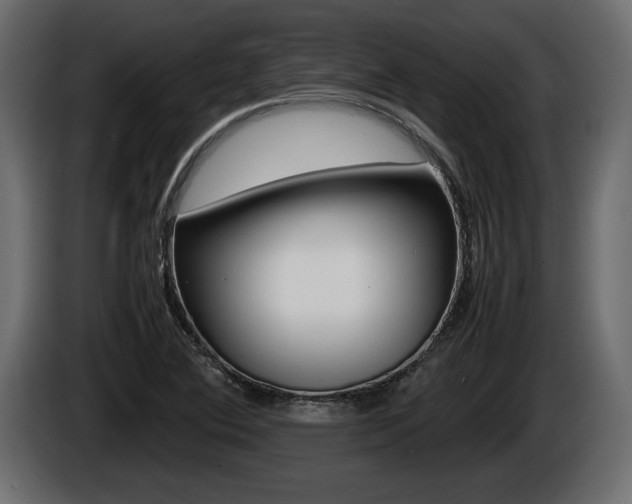 X0000086761364200704130805