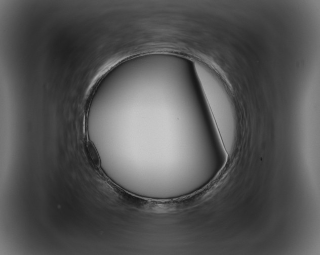 X0000086761365200704130805