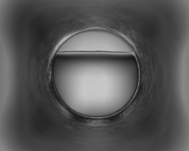 X0000086761367200704130805