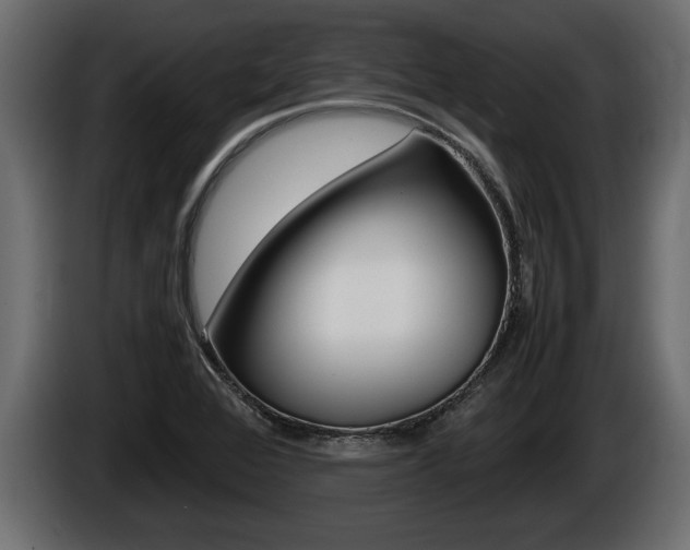 X0000086761368200704130805