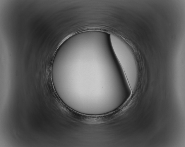 X0000086761369200704130805