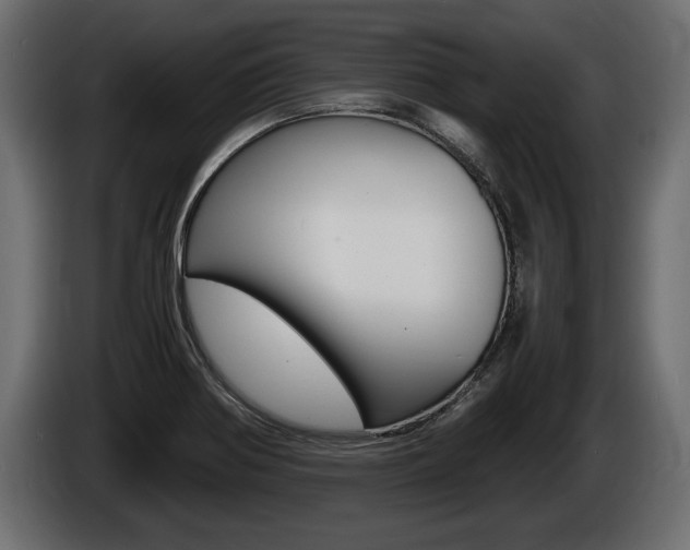 X0000086761370200704130805