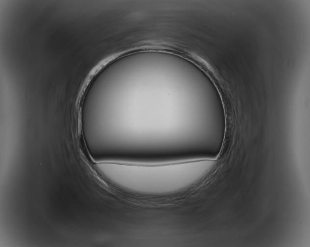 X0000086761371200704130805