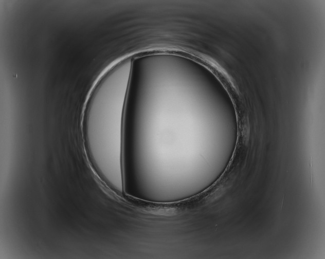 X0000086761372200704130805