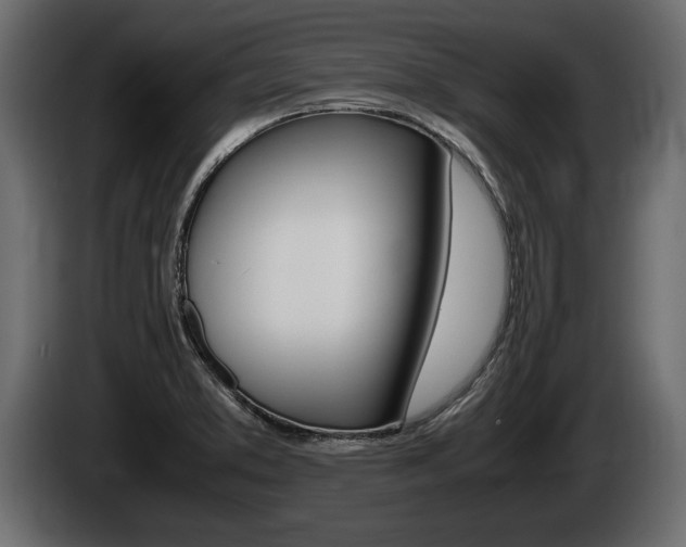 X0000086761373200704130805