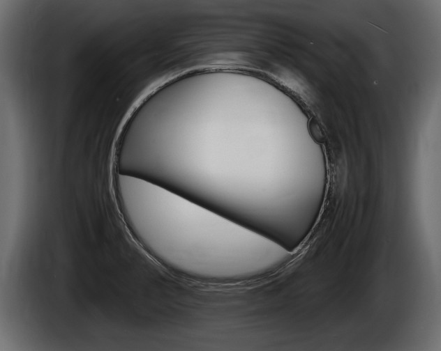 X0000086761374200704130805