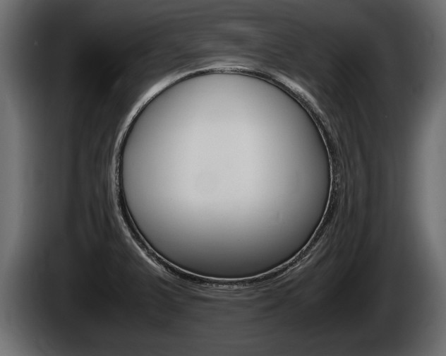 X0000086761375200704130805