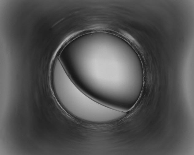 X0000086761376200704130805
