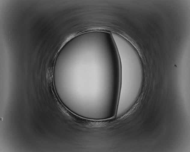 X0000086761377200704130805