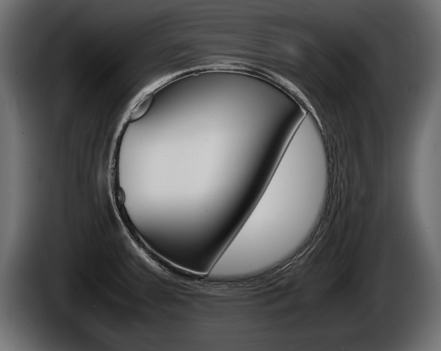 X0000086761379200704130805