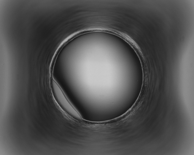 X0000086761380200704130805