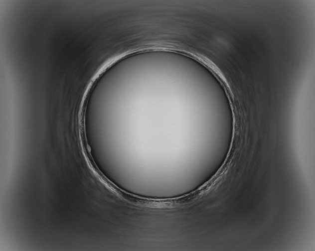X0000086761381200704130805