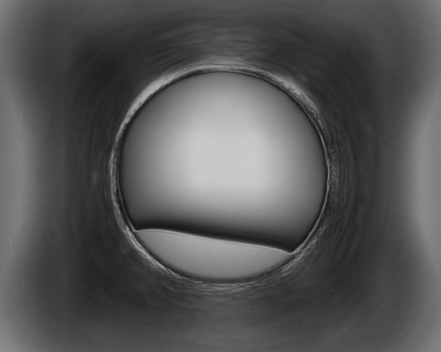 X0000086761382200704130805