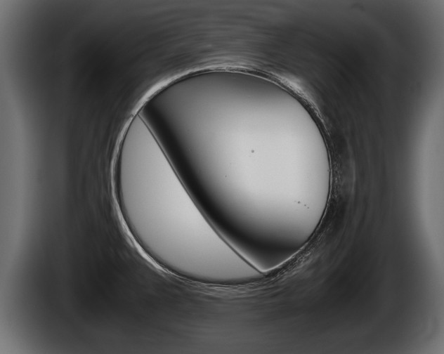 X0000086761383200704130805