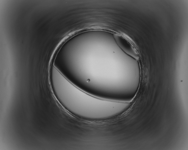 X0000086761384200704130805