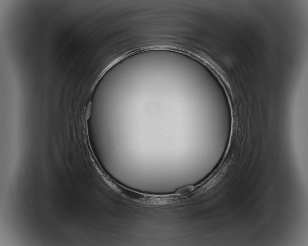 X0000086761385200704130805