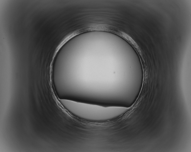 X0000086761386200704130805