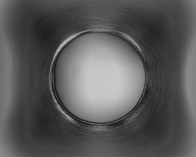 X0000086761387200704130805