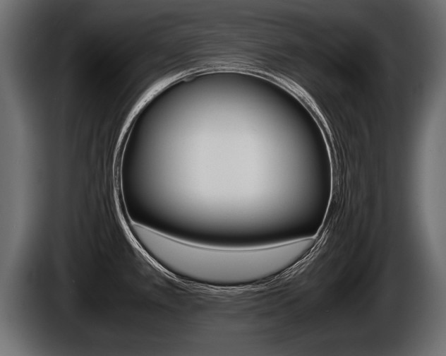 X0000086761389200704130805
