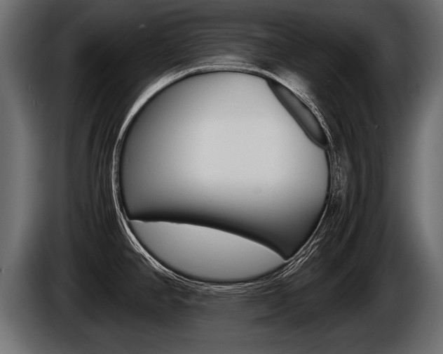 X0000086761390200704130805