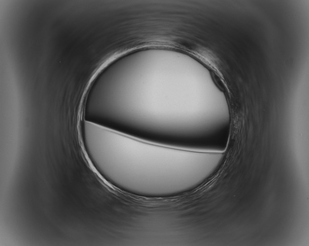 X0000086761391200704130805