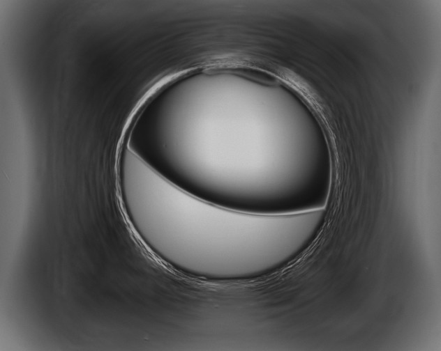 X0000086761392200704130805