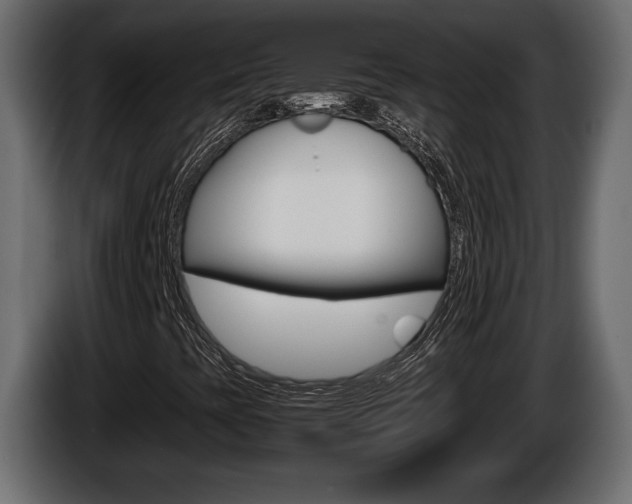 X0000086761393200704130804