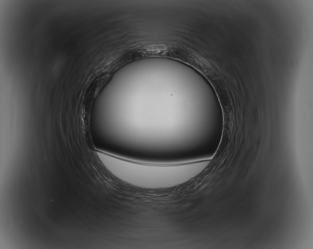 X0000086761394200704130804