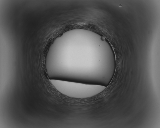 X0000086761397200704130804