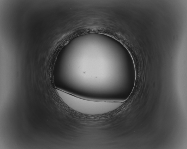 X0000086761398200704130804
