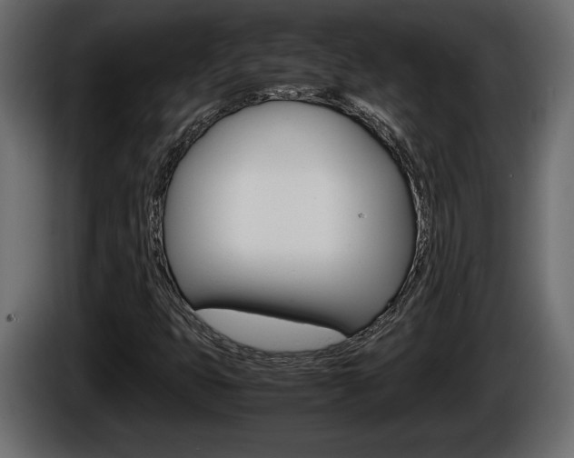 X0000086761399200704130804