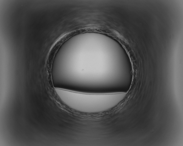 X0000086761400200704130804