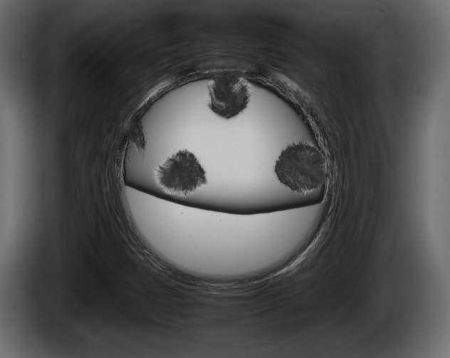 X0000086761401200704130804