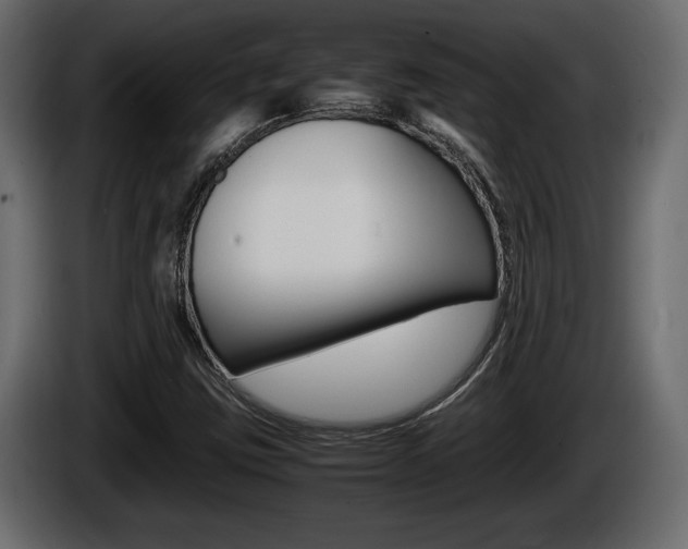 X0000086761403200704130804