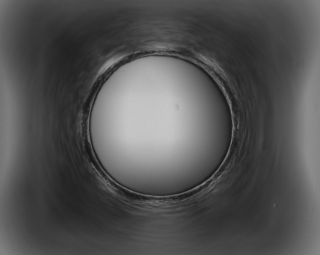 X0000086761404200704130804