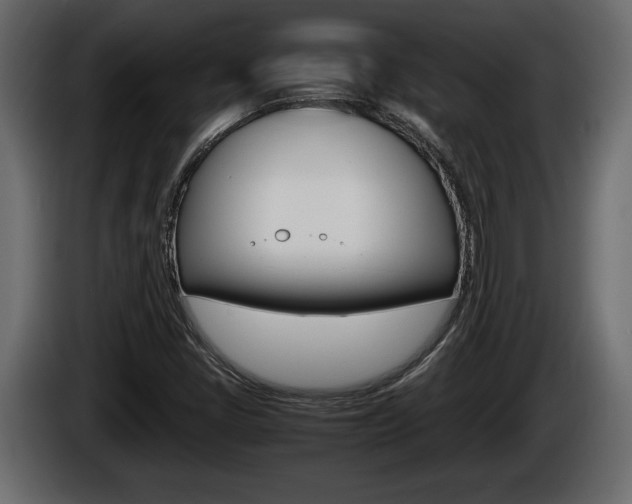 X0000086761405200704130804