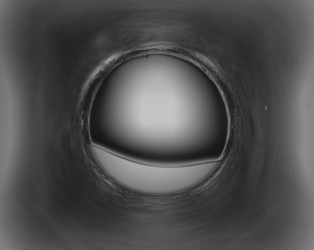 X0000086761406200704130804
