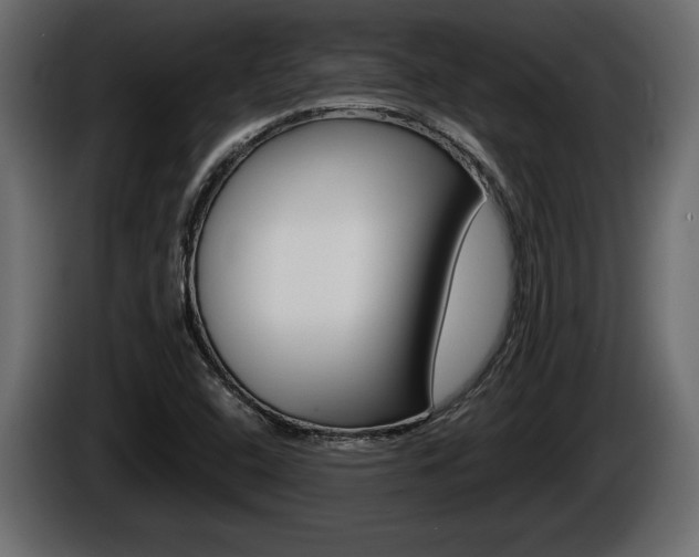 X0000086761408200704130804