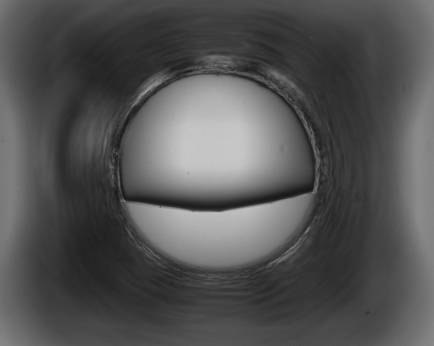 X0000086761409200704130804