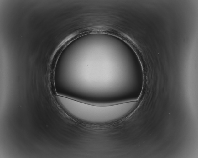 X0000086761410200704130804