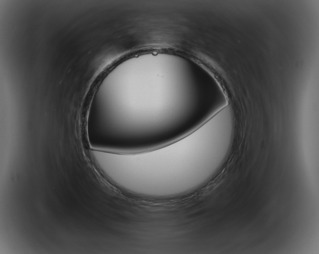 X0000086761412200704130804