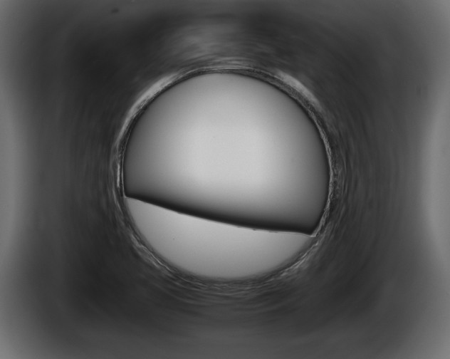 X0000086761413200704130804