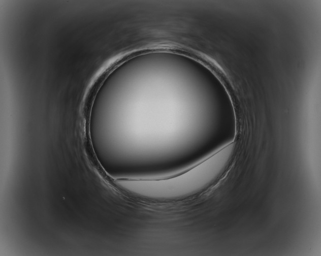 X0000086761414200704130804