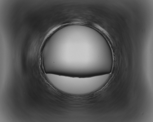X0000086761415200704130804